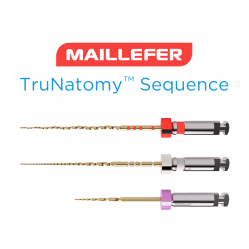 limas rotatorias trunatomy sequence dentsply maillefer